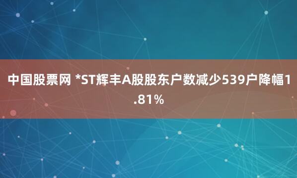 中国股票网 *ST辉丰A股股东户数减少539户降幅1.81%