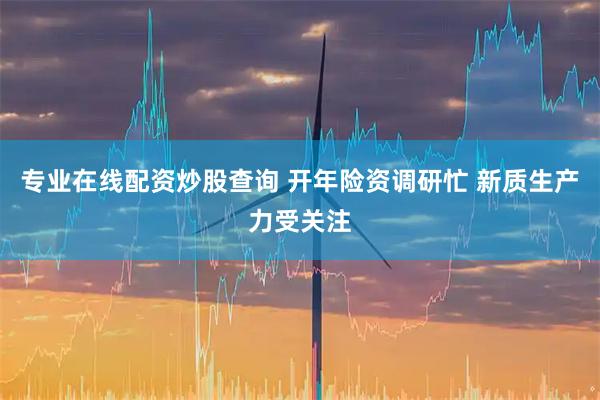 专业在线配资炒股查询 开年险资调研忙 新质生产力受关注