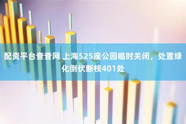 配资平台查查网 上海525座公园临时关闭，处置绿化倒伏断枝401处