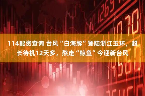 114配资查询 台风“白海豚”登陆浙江玉环，超长待机12天多，熬走“鲸鱼”今迎新台风